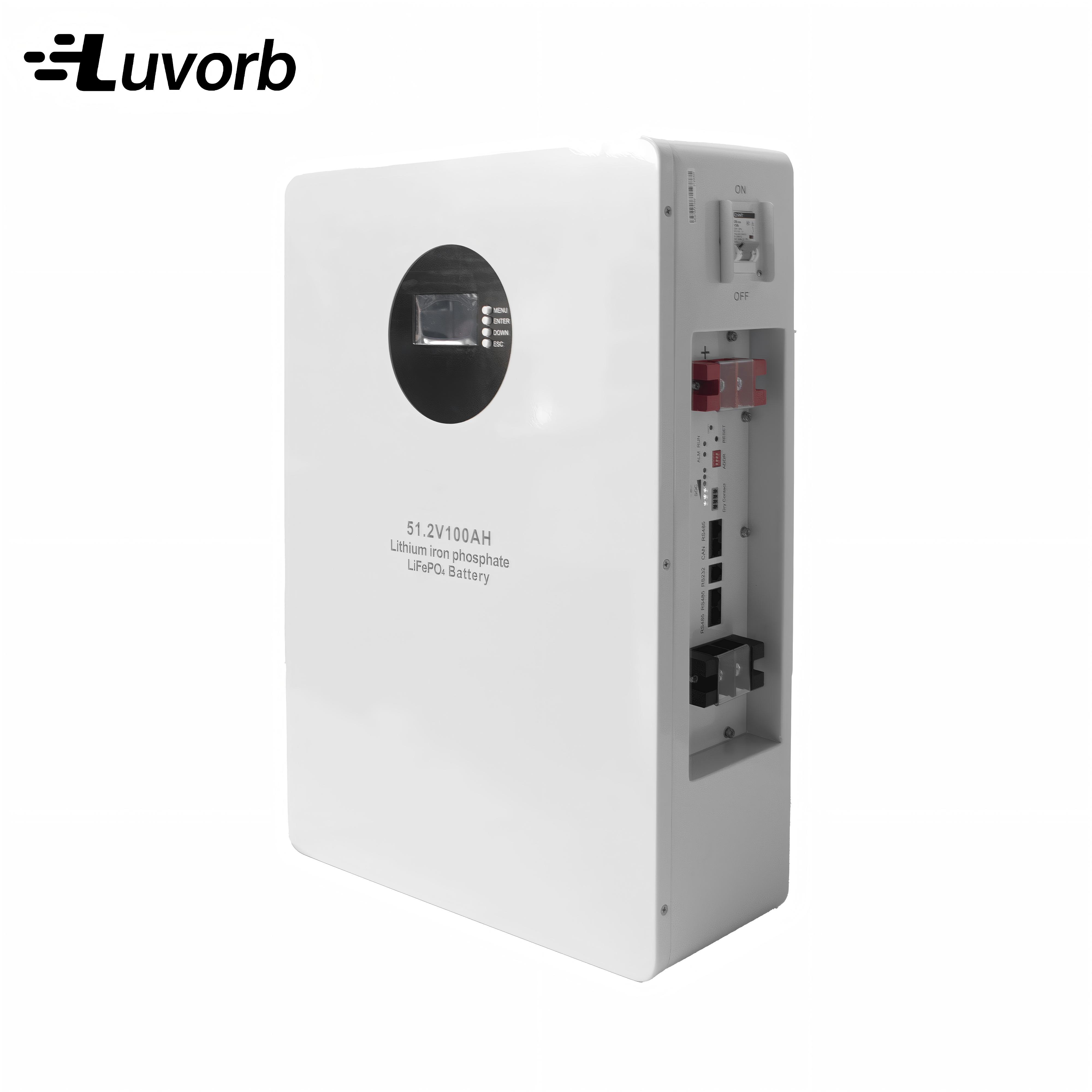 LiFePo4 Inverter Batterij EMS  - Lithium Battery 100Ah recensie en prijs