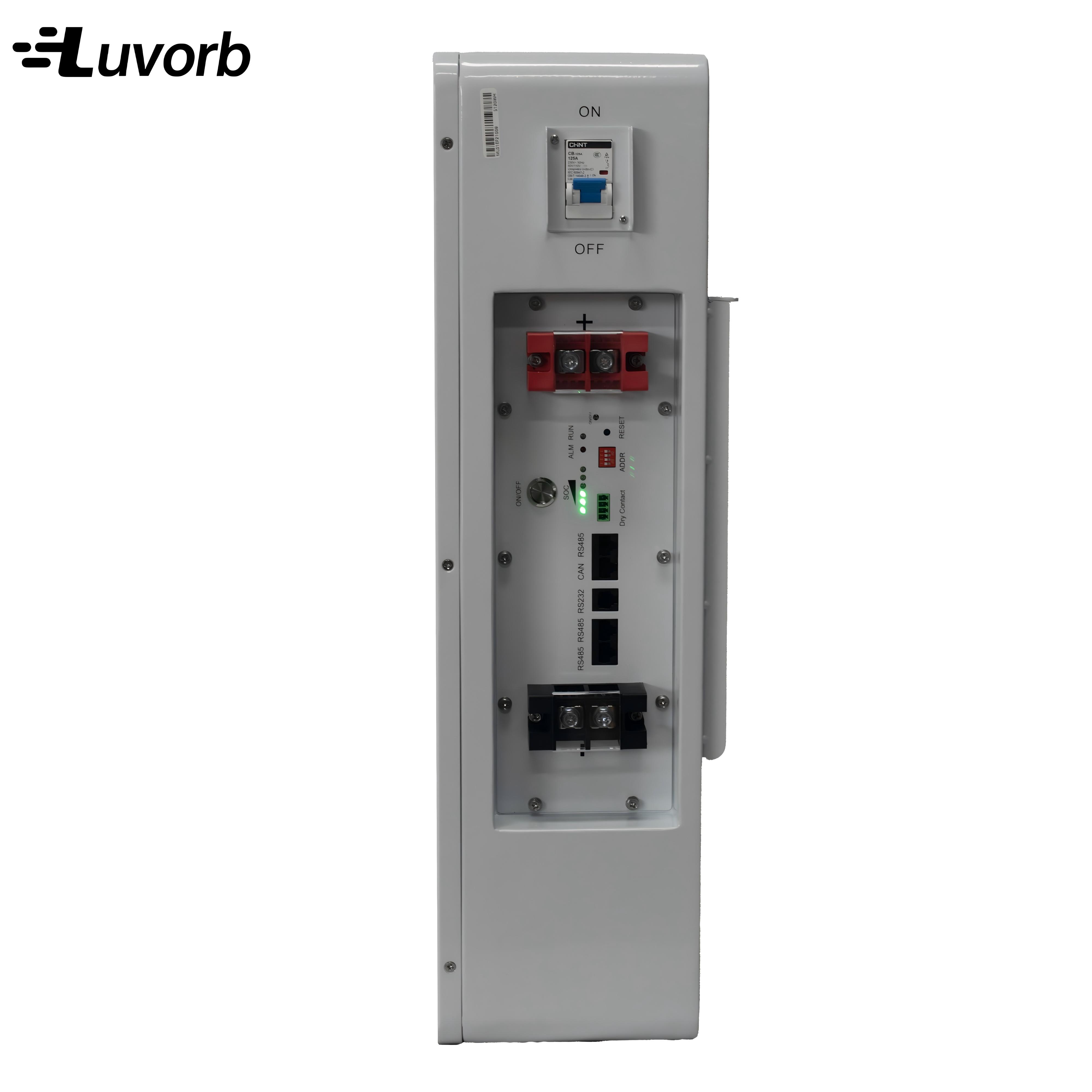 LiFePo4 Inverter Batterij EMS  - Lithium Battery 100Ah recensie en prijs