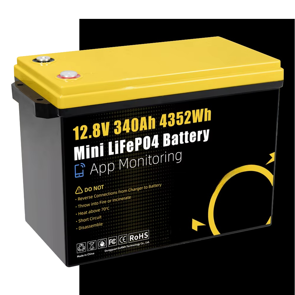 GoKWh Marine 12v Lifepo4 Lithi - Lithium Battery 100Ah recensie en prijs