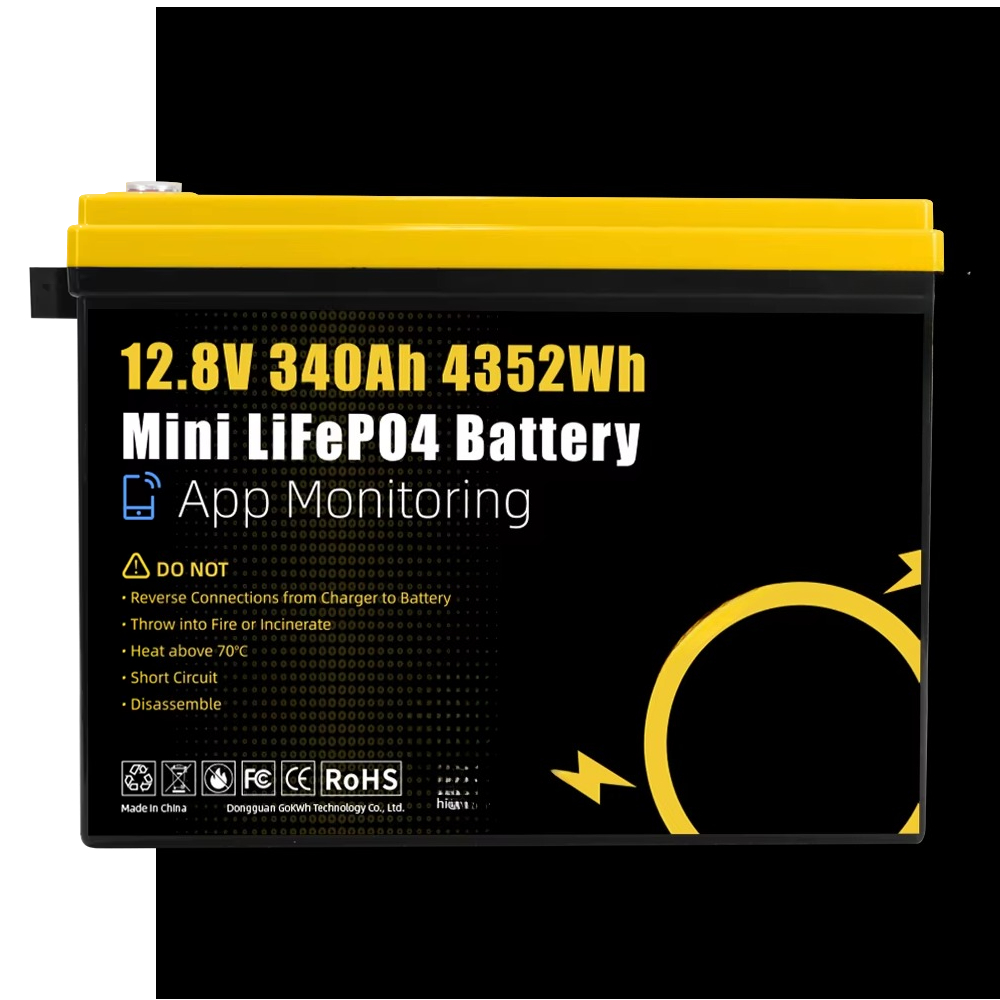 GoKWh Marine 12v Lifepo4 Lithi - Lithium Battery 100Ah recensie en prijs