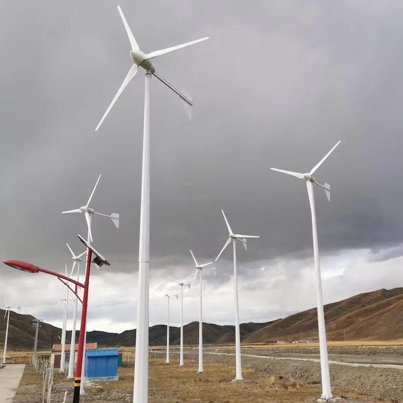 【Bestseller】Horizontale windtu - Wind Turbine Generator recensie en prijs