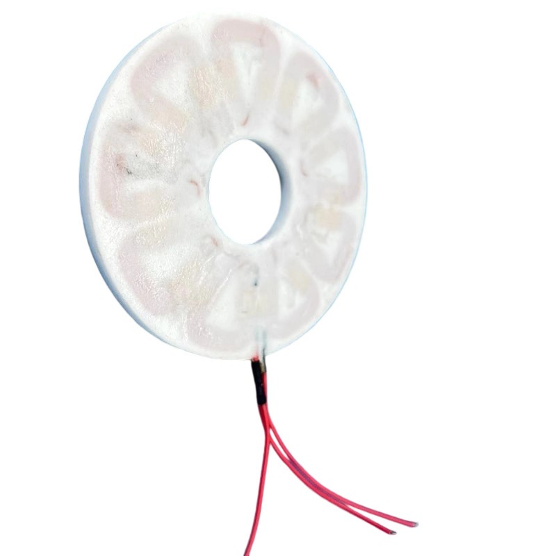 300W 3-fasen Coreless Disc Coi - Wind Turbine Generator recensie en prijs