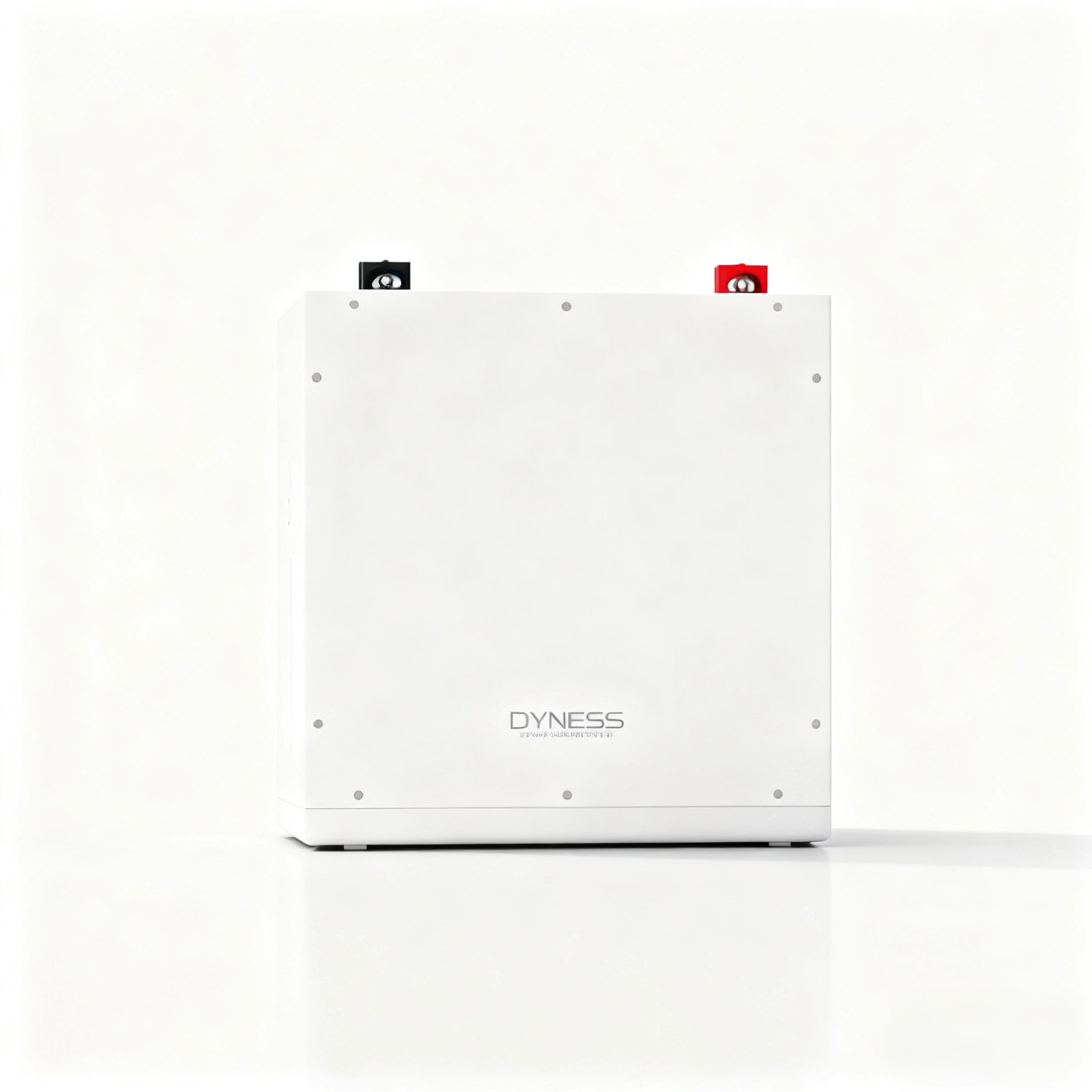 Dyness DL5.0C 1C lithium-ionba - Lithium Battery 100Ah recensie en prijs