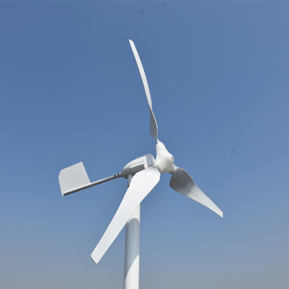 Gratis Energie Professionele C - Wind Turbine Generator recensie en prijs