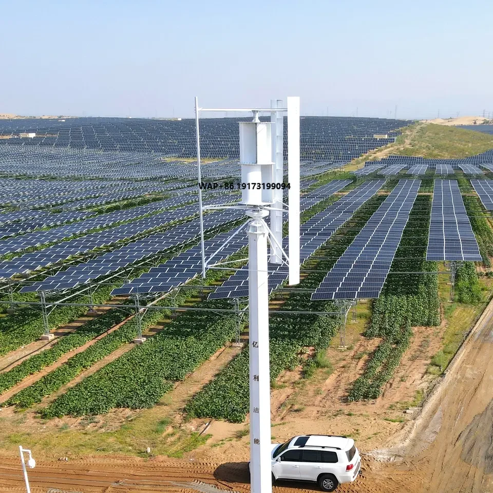 Chinese fabriek kleine windtur - Wind Turbine Generator recensie en prijs